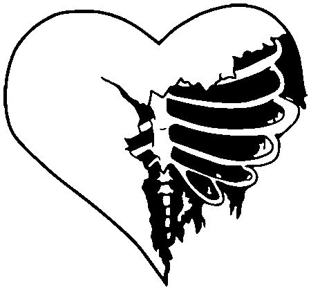 серцевий скелет