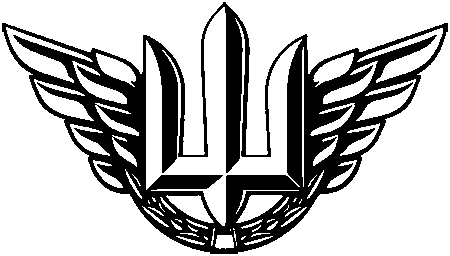 Беретний Знак Військово-Повітряних Сил