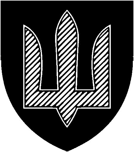 Нарукавний знак ЗСУ