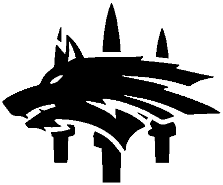 208 Зведений Загін